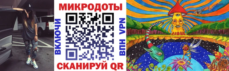 магазин продажи   Южа  блэк спрут ссылки  Псилоцибиновые грибы Psilocybe 